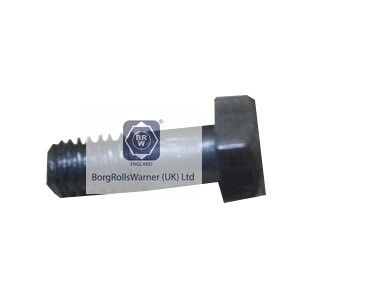 hollow screw   image