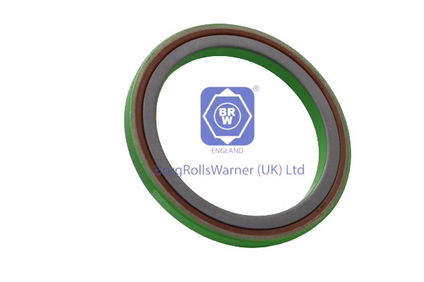 7420832385 brw shaft seal for renault image