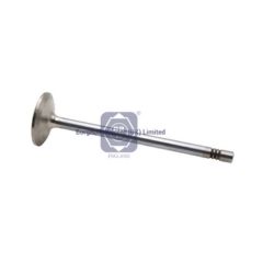 51041010523 brw exhaust valve for man image