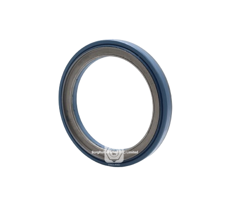 seal ring image